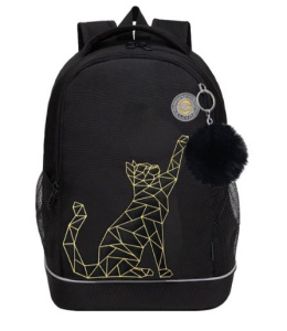 Рюкзак школьный (RG-563-2/1 чёрный - золото)