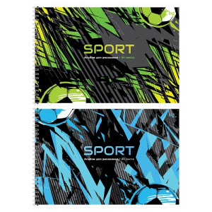 Альбом для рисования 24л А4 на спирали BG Sport