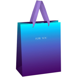 Пакет подарочный 18х23х10см MESHU Intense gradient