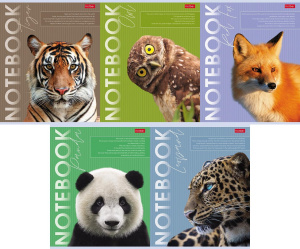 Тетрадь А5 80л клетка Дикие и свободные