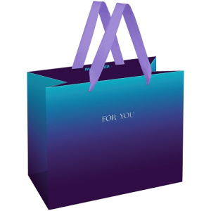 Пакет подарочный 23х18х10см MESHU Intense gradient