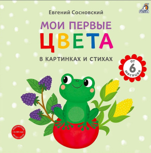 Книга на картоне Мои первые цвета Робинс