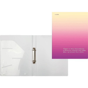 Папка на кольцах A4 deVENTE Degrade 240x310x35мм 30 мм