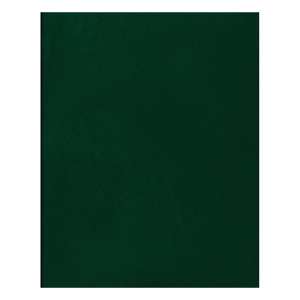 Тетрадь 48л А5 клетка BG бумвинил зеленый