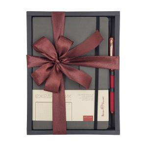 Набор подарочный ежедневник недатированный А5 BrunoVisconti  ZENITH серый и ручка