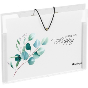 Папка 5 отделений Berlingo Spring А4 600мкм на резинке с рисунком