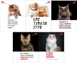 Тетрадь 48л клетка Котоюмор Hatber
