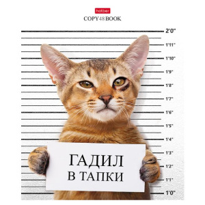 Тетрадь 48л клетка Кот-обормот Hatber