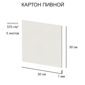 Картон пивной 570г/м2 30х30см белый