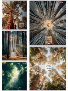 Тетрадь А5 48л клетка Природный микс