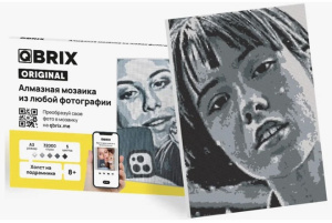 Алмазная А3 фото-мозаика на подрамнике POP-ART А3 QBRIX 
