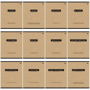 Набор тематических тетрадей 48л BG Крафт 12шт