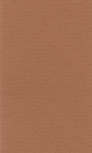Бумага для пастели 160 г/м²  50х65 см охра