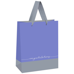 Пакет подарочный 18x23x10см MESHU Duotone Gray-lavender