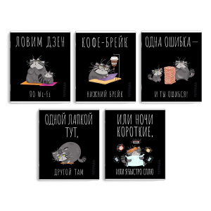 Тетрадь А5+ 48л клетка Серый кот Феникс