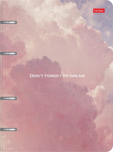 Тетрадь 4 кольцах А5 80л клетка Dream Hatber