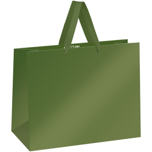 Пакет подарочный 32х26х12см MESHU Green
