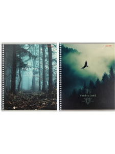 Тетрадь А5 48л клетка мистическая Природа на спирали