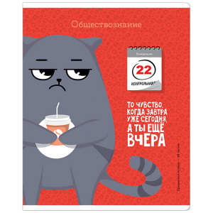 Тетрадь предметная Обществознание 48л. ArtSpace Котоцинизм