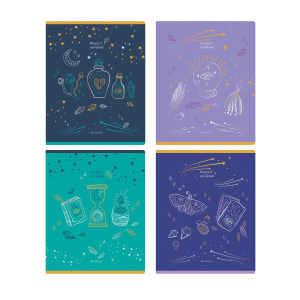 Тетрадь 48л клетка BG Magical shine