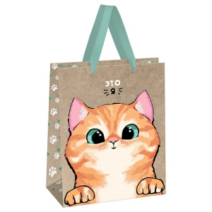 Пакет подарочный 18х23х10см MESHU Kitten крафт