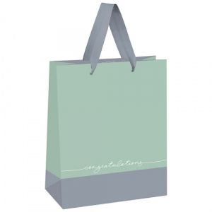 Пакет подарочный 18х23х10см MESHU Duotone. Gray-mint