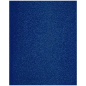 Тетрадь А5 96л линия BG бумвинил