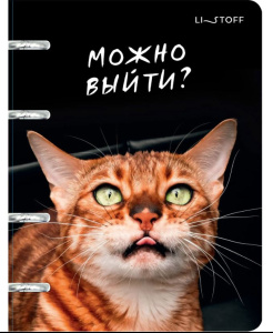 Тетрадь на кольцах А5 100л Котики