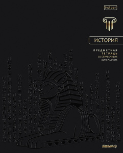 Тетрадь тематическая 48л А5 История Премиум