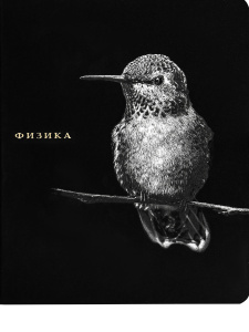 Тетрадь тематическая 48л по Физике BLACKSOFT Prof-Press