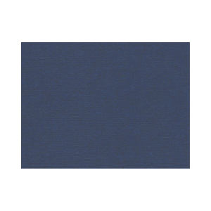 Бумага для пастели 50х70см 160гр/м Палаццо Night blue (темно-синий) 