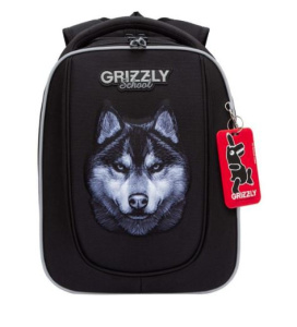 Рюкзак школьный (RAf-493-4/1 черный)