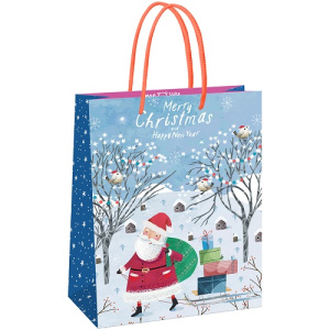 Пакет подарочный 33х42х12см MESHU Christmas