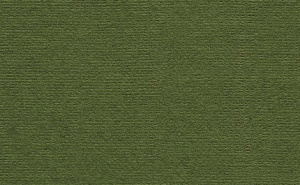 Бумага для пастели 50х70см 160г/м Палаццо Dark jungle (тёмные джунгли)