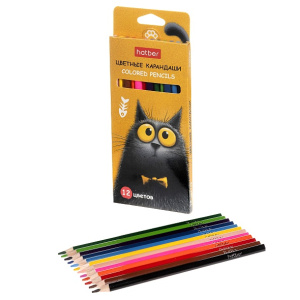 Карандаши цветные 12 цветов трехгранные Пушистый философ