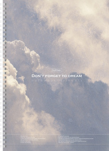 Тетрадь А4 96л без линовки Dream обложка с карманом с Шаблоном в клетку и линию на спирали