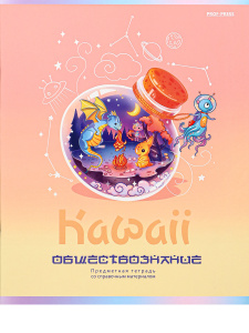 Тетрадь тематическая 48л по Обществознанию KAWAII Prof-Press