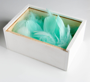 Наполнитель из перьев для подарков и шаров Мечтания 15х11см