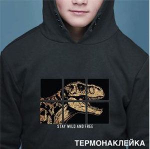 Термонаклейка 17,5x12,6см для декорирования текстильных изделий  T-Rex 