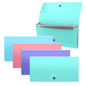 Папка-картотека евро 13 отделений пластиковая ErichKrause Diagonal Pastel