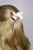 e9dc66ee_3556_11f0_bab1_d05099d5d12d_369f20c9_fd03_11f0_babc_d05099d5d12d e9dc66ee_3556_11f0_bab1_d05099d5d12d_369f20c9_fd03_11f0_babc_d05099d5d12d